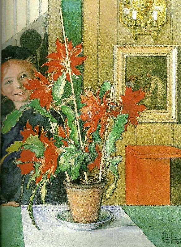 Carl Larsson britas kaktus-skrattet Spain oil painting art